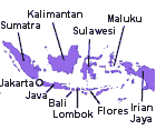 Bali_kart2